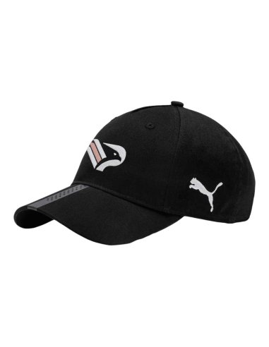 PALERMO FC LIGA CAPPELLO